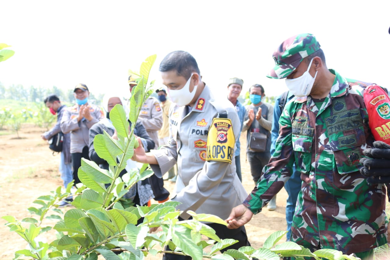 Kapolres Sumedang Pimpin Kegiatan Penanaman Jambu Kristal Dalam Program Ketahanan Pangan